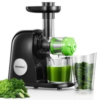 HOUSNAT Slow Juicer, Entsafter Gemüse und Obst, Profi Entsafter