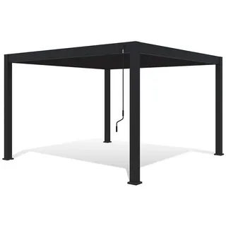 Weide Pavillon Deluxe ca. 400x255x400 cm