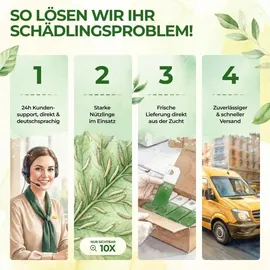 cubero gmbh Florfliegenlarven gegen Blattläuse & Wollläuse 1 Karte für 2 m2