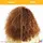 Matrix Total Results A Curl Can Dream Shampoo 300 ml
