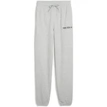 Puma Graphics Training Jogginghose Grau S