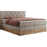 MKS Veneto King 140 x 200 cm H4 Beige