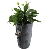 KADAX Blumentopf mit Einsatz und Griffen, aus Kunststoff, 58.5 cm, anthrazit - KADAX