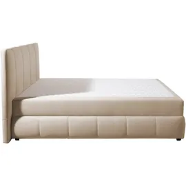 INOSIGN »Hartley«, Inkl. Bettkasten & Topper, wählbar in H2, H3 o. H4, beige