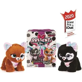 Spin Master Present Pets Rainbow Glitter