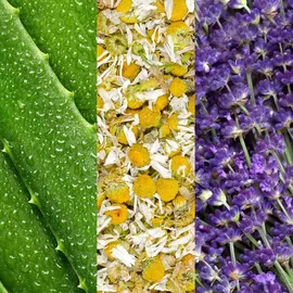 Mario Badescu Gesichtsspray mit Aloe, Kamille und Lavendel 236 ml