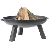 Feuer-Anker Feuerkorb Pan 7 Ø 80 cm Transparent