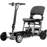 eneway Muvy Elektromobil 4-Rad 6 km/h grau