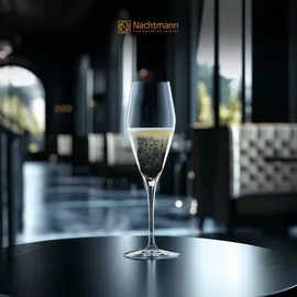 Nachtmann ViNova Wein- und Champagnergläser Set 0,3 l 12 St.