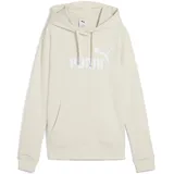 Puma No. 1 Logo Hoodie Alpine Snow XL