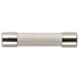 Eska Feinsicherung Träge Keramikrohr mit Löschmittel 1 A (6,3x32 mm) - 10 Stück