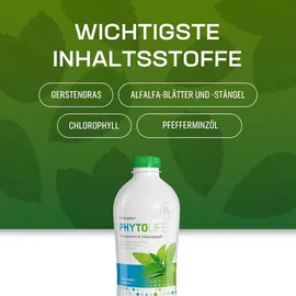 Synergy 21 Synergy Worldwide Phytolife Tropfen 730 ml