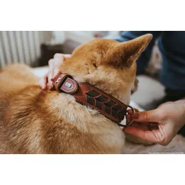 Hunter El Paso Hundehalsband cognac/schwarz 55