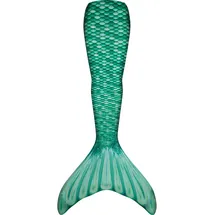 Fin Fun Fin Fun, Flossen