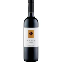 Enate Reserva Cabernet Sauvignon 2019 12 x 0,75 l