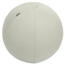 Leitz Sitzball Grau 55 cm