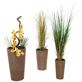 Europalms Grasbusch, 150cm