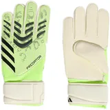 adidas Predator Match Torwarthandschuhe - grün 5,5