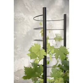 eva solo Simply Grow Spalier für Übertopf