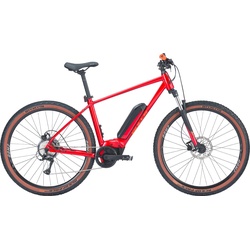 Bulls - LT CX 29