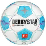 derbystar Bundesliga Player v24