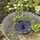 GORANDO LED Solar Teichpumpe 16cm