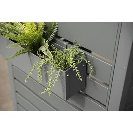 Westmann Blumenkasten Planum 50 x 12 cm Anthrazit
