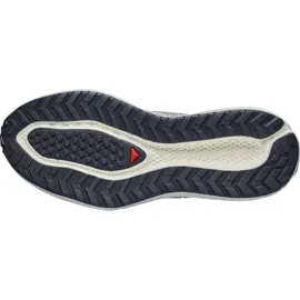 Salomon Aero Glide 4 GRVL Herren Vanilla Ice/Black 48