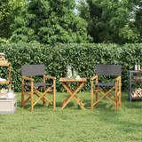 Teenpull – Regiestühle 2 Stk. Klappbar Grau Massivholz Teak