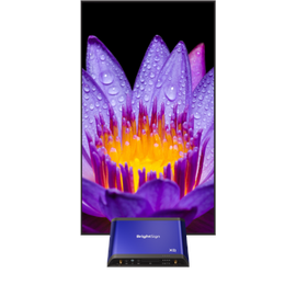 BrightSign XD1035 Digital Signage Mediaplayer
