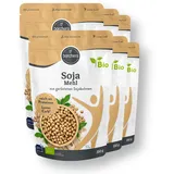 borchers 6x Bio Sojamehl | 6x200g | 1.2 kg (9,28 EUR/kg)