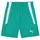 Puma teamLIGA Shorts Kinder pepper green/white 152