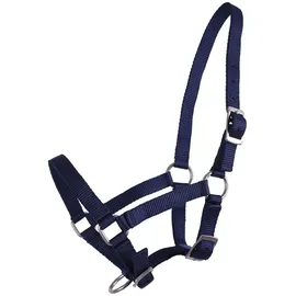QHP Fohlen-Halfter 04 babyblau