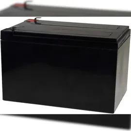 Powery FirstPower Blei-Gel Akku für Rollstühle Elektro-Scooter Elektrofahrzeuge 12Ah 12V VdS