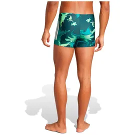 adidas Graphic Boxer Badeshorts Herren JW3702 - aurora ivy/white 9 L-XL