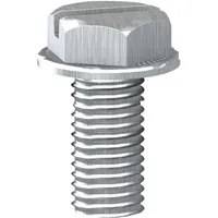 Schneider Befestigungsschraube M6 x 18 mm 100 Stück