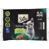 Sheba Kitten 4x85g Nassfutter mit Lachs und Huhn für Kätzchen