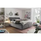 Set One by Musterring Boxspringbett Fairfield 160 x 200 cm Stoff Ash