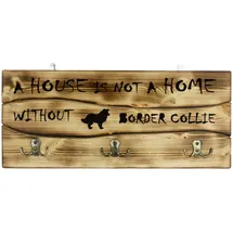 Border Collie - ein Kleiderbügel mit einem Hund, ein Medaillendisplay, eine Wohn