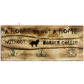 Border Collie - ein Kleiderbügel mit einem Hund, ein Medaillendisplay, eine Wohn