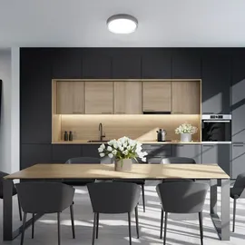 B.K.Licht - LED Deckenlampe mit neutralweißer Lichtfarbe, 12 Watt, 1200 Lumen, LED Deckenleuchte, Lampe, Wohnzimmerlampe, Schlafzimmerlampe, Küchenlampe, Deckenbeleuchtung, 25x5,2 cm, Silberfarbig