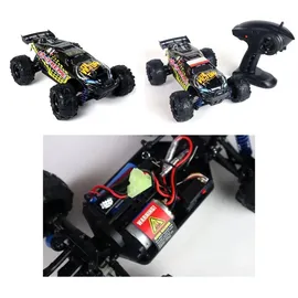 ES-Toys RC-Buggy Elektro 1:18 CH RTR schwarz