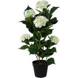 Creativ green Kunstpflanze Hortensie, im Kunststofftopf weiß