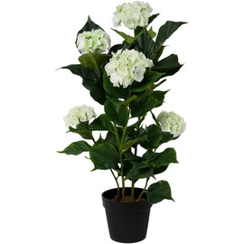 Creativ green Kunstpflanze »Hortensie«, im Kunststofftopf, weiß