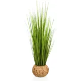 HJH Office Kunstpflanze CORTADERIA Naturstroh