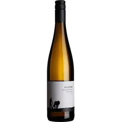 Chardonnay vom Quarzit Weingut Pflüger 2023 BIO