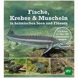 Stocker Leopold Verlag Fische, Krebse & Muscheln in heimischen Seen und Flüssen