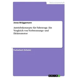 Antriebskonzepte für Fahrzeuge. Ein Vergleich von Verbrennungs- und Elektromotor