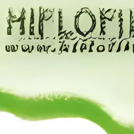 Hiflofiltro Zweistufiger Luftfilter für Motorrad