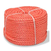 VidaXL Polypropylenseil 10 mm 100 m Orange